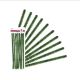 CRAFT DECOR PINE STEMS 10PC 12